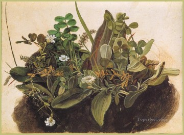 フラワーズ Painting - 草の房 MINOR アルブレヒト・デューラー 古典的な花